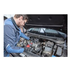 VIGOR Video-Endoskop, V7500/2