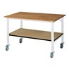 Rau Fahrbarer Arbeitstisch (HV) Tom KM-01, B1500xT1000xH910-1230mm, B-Platte-25mm