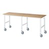 Rau Fahrbarer Arbeitstisch (HV) Tom (6 LR), B2500xT800xH910-1230mm, B-Platte-25mm
