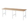 Rau Arbeitstisch Tom höhenverstellbar, B2500xT800xH760-1080mm, B-Platte-25mm