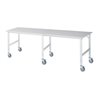 Rau Fahrbarer Arbeitstisch (HV) Tom (6 LR), B3000xT1000xH910-1230mm, M-Platte-22mm