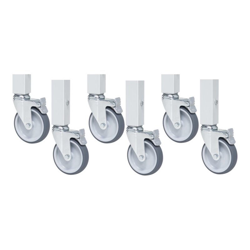 Rau Rollensatz mit Expander, 6 Lenkrollen mit Feststeller