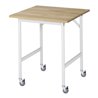 Rau Fahrbarer Arbeitstisch Jerry (4 LR), B750xT800xH900mm, B-Platte-25mm