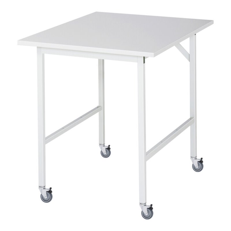 Rau Fahrbarer Arbeitstisch Jerry (4 LR), B750xT1000xH900mm, M-Platte-22mm