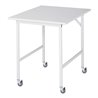 Rau Fahrbarer Arbeitstisch Jerry (4 LR), B750xT1000xH900mm, M-Platte-22mm