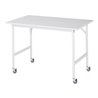 Rau Fahrbarer Arbeitstisch Jerry (4 LR), B1250xT800xH900mm, M-Platte-22mm
