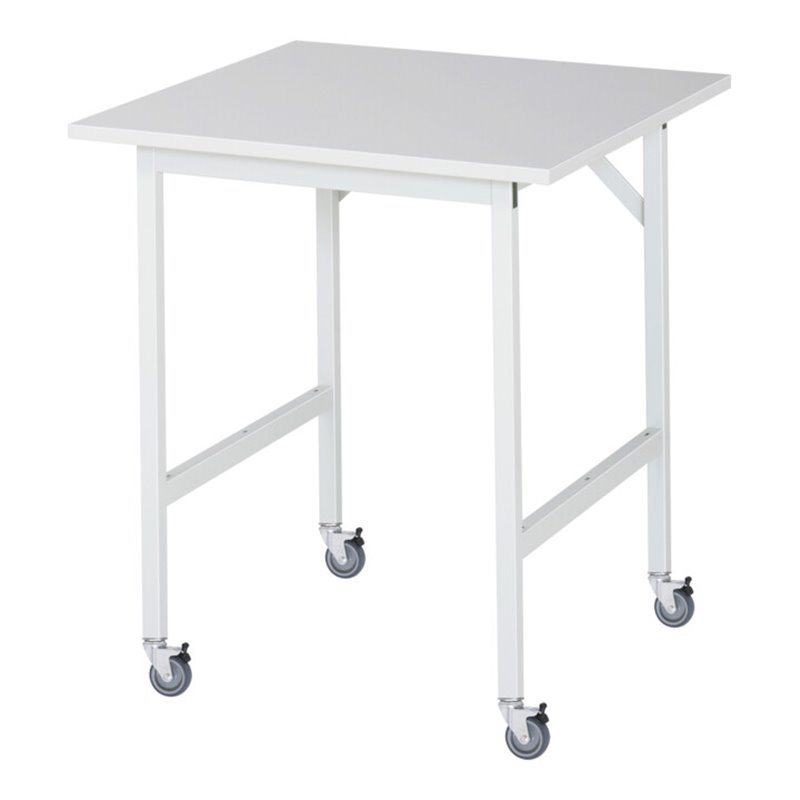 Rau Fahrbarer Arbeitstisch Jerry (4 LR), B750xT800xH900mm, M-Platte-22mm