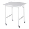 Rau Fahrbarer Arbeitstisch Jerry (4 LR), B750xT800xH900mm, M-Platte-22mm