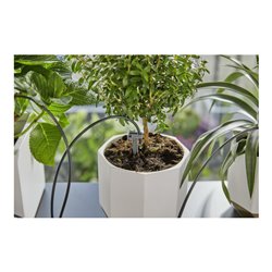 Gardena Urlaubsbewässerung Set inkl. Wasserreservoir