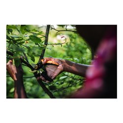 Fiskars Bypass Gartenschere (P721) Plus PowerLever