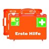 Erste-Hilfe-Koffer San, CDStandard,DIN13157m.Erw.