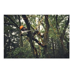 Stihl Akku-Motorsäge MSA 190 T, 1/4', PM3, Schienenlänge 30 cm