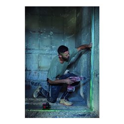 bellota Laser 30m 3 Achs, grün Koffer und Halter