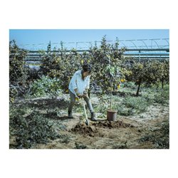 bellota Grabespaten,Spezialstahl Knaufgriff, Buchenstiel