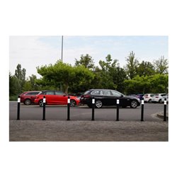 TEMKA Flexi - Poller - Bala, 680 mm, anthrazit