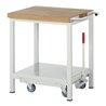Rau Werkbank mit absenkbarem Fahrgestell 8000 880 mm Buche-Massiv-Platte 700 mm