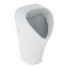 Geberit Urinal Renova we., trigonal, Zul. v hi., Abg. n hinten