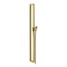 hansgrohe Brausestange Axor Citterio E 900mm, m Schlauch 1600mm, brushed brass