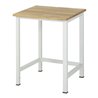 Rau Werktisch Modell 900 mit Buche-Massiv-Platte HxT 825x800 mm