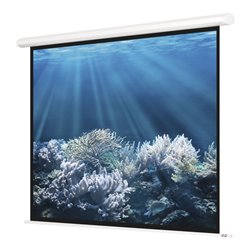 Magnetoplan Elektrische Leinwand Standard, 2400 x 2400 mm, 1:1