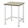 Rau Werktisch Modell 900 mit MDF-Platte HxT 825x800 mm