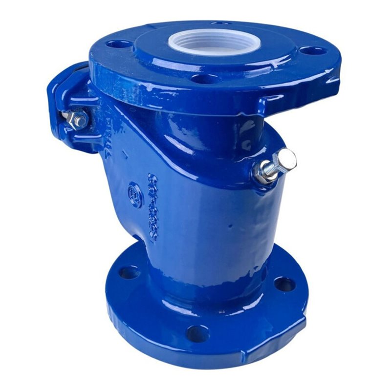 Grundfos Rückschlagklappe DN 65, PN 10, Grauguss