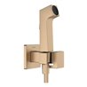 hansgrohe Handbrause Bidette E f.Kaltwasser m. Schlauch 1250mm und Porter BBR