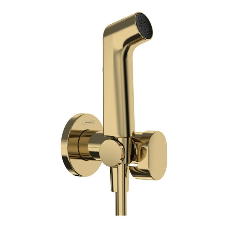 hansgrohe Handbrause Bidette S f.Kaltwasser m. Schlauch 1250mm und Porter PGO