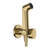 hansgrohe Handbrause Bidette S f.Kaltwasser m. Schlauch 1250mm und Porter PGO