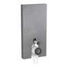 Geberit Wand-WC-Modul Monolith Plus BH 101cm, F SZ Schiefer, S. Alu SW-chrom