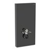Geberit Wand-WC-Modul Monolith Plus Bauh. 101cm, Fr. Gl. sw, S. Alu SW-chrom