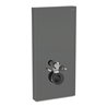 Geberit Wand-WC-Modul Monolith Plus BH 101cm, Fr. Gl. la., S. Alu SW-chrom