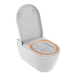 Duravit Kompakt-Dusch-Tief-WC Starck Pro 220-240 V, 50 Hz, riml, HG, HygieneUV