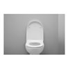 Duravit WC-Sitz D-shaped m Abs, abn., 45,7cm, Uni, Scha. ES, we.