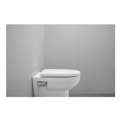 Duravit WC-Sitz D-shaped m Abs, abn., 45,7cm, Uni, Scha. ES, we.