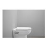 Duravit WC-Sitz D-shaped m Abs, abn., 45,7cm, Uni, Scha. ES, we.