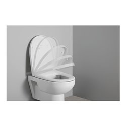Duravit WC-Sitz D-shaped m Abs, abn., 45,7cm, Uni, Scha. ES, we.
