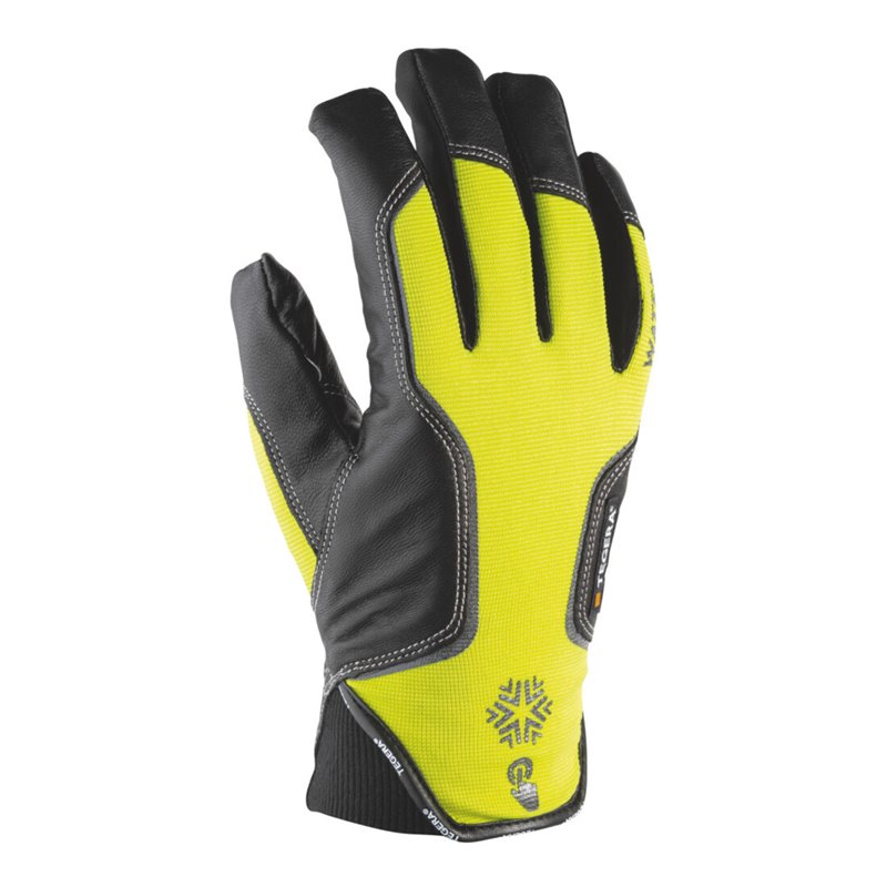 Ejendals Kälteschutzhandschuh-Paar Tegera 7798