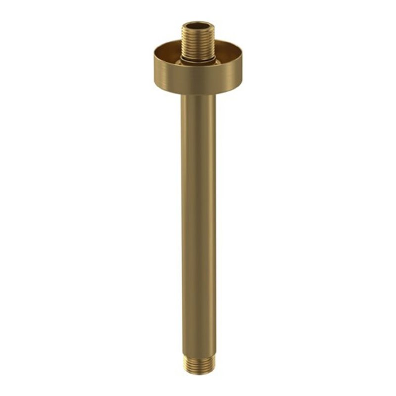 V&B Brausearm Universal Showers rund, Deckenmontage, brushed gold