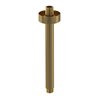 V&B Brausearm Universal Showers rund, Deckenmontage, brushed gold