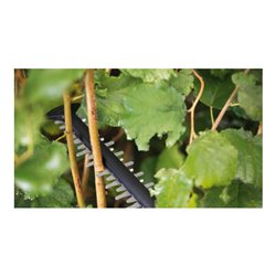 Bosch Akku-Heckenschere UniversalHedgeCut 18V-55