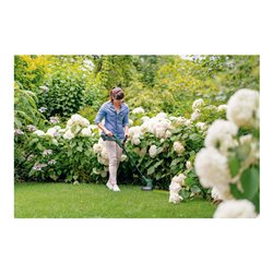 Bosch Akku-Rasentrimmer EasyGrassCut 18V-26, 1 x Akku PBA 18V 2.5Ah