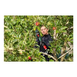 Bosch Akku-Gartenschere AdvancedPrune 18V-45