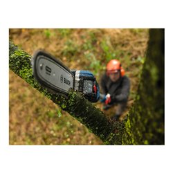 Bosch Sägekette 25 cm 1,1 mm Professional