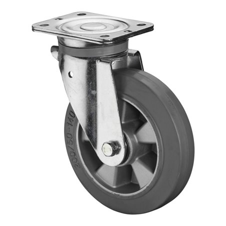 BS Rollen Schwerlastrolle (N100.B83.200)