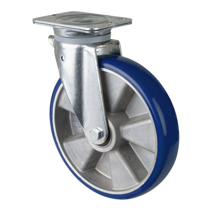 BS Rollen Schwerlastrolle (N100.B92.250)