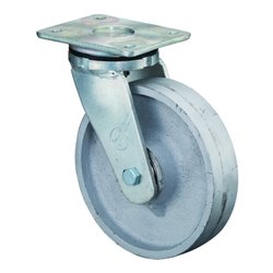 BS Rollen Schwerlastrolle (RR100.C81.250)