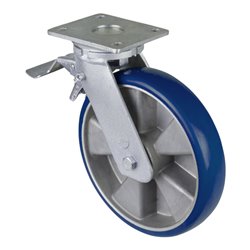 BS Rollen Schwerlastrolle (RR120.B92.250)