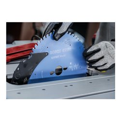 Bosch EXPERT Wood Kreissägeblatt, 254x25,4 mm, Z24