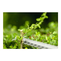 Bosch Akku-Stabheckenschere PRO GHE18V-50FP